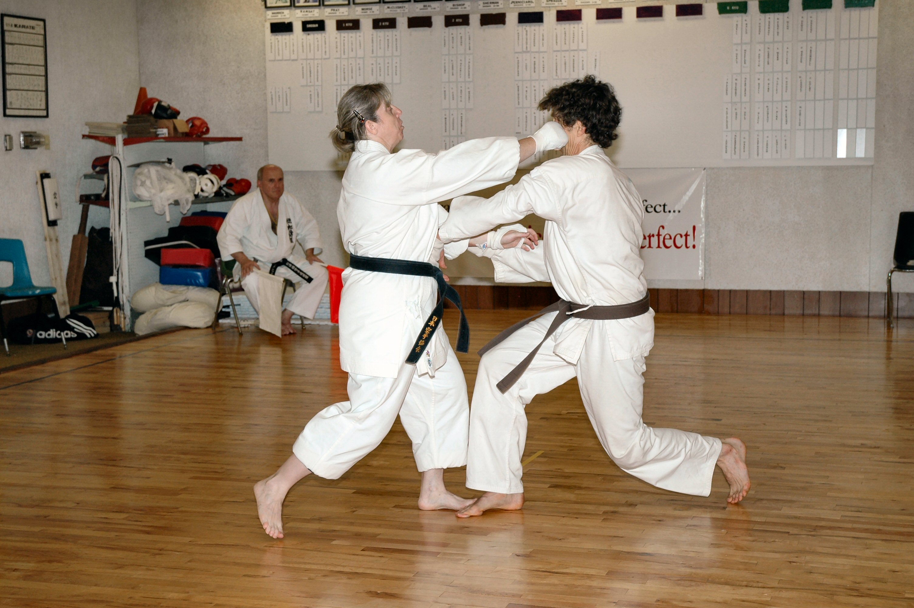Karate sparring - Shannon
