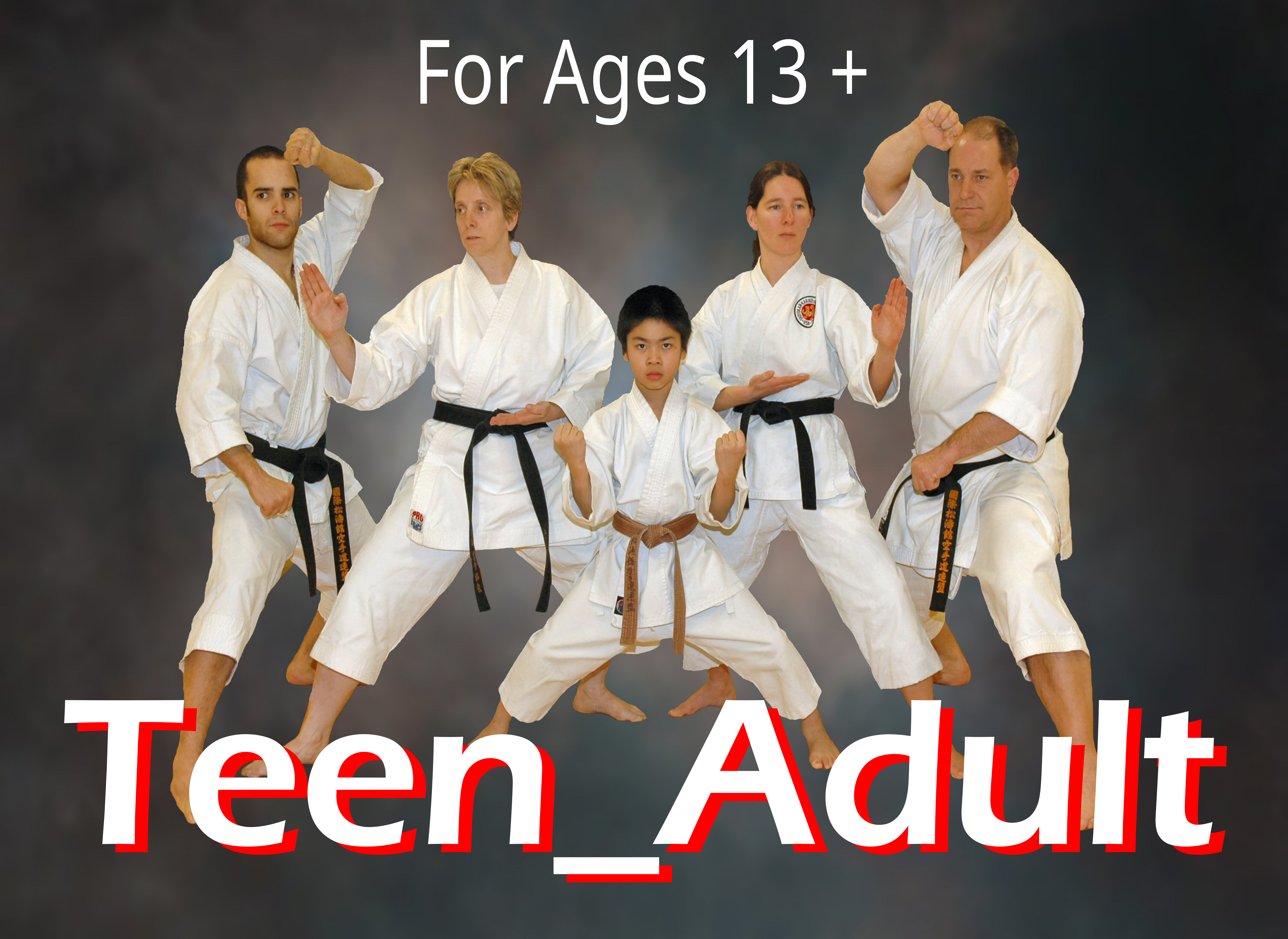 Adult Karate Program